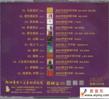 群星 - 九玖为功(2025阳江十八子音响音乐文化节) [WAV+分轨]