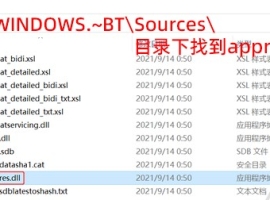 如何绕过Win11 TPM2.0检测？