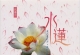 风潮－花乐系列9CD APE+CUE