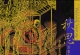 FIM民乐发烧盘《秋思幻想曲》(SACD-R)