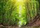 Mick Sawaguchi 泽口真生 - 自然私语 Vol.2 《海浪》【2020】[FLAC] [24-96]