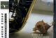 李小春-《雨夜的浪漫(DSD)》[WAV+CUE]