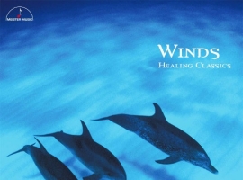 随风入梦 (For Healing) - 为不眠夜而作 (11.2MHz DSD) 2021 [索尼精选 DSD256]