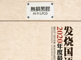 群星《2020年度最佳 发烧国语[黑胶碟2CD]》[正版CD低速原抓WAV+CUE]