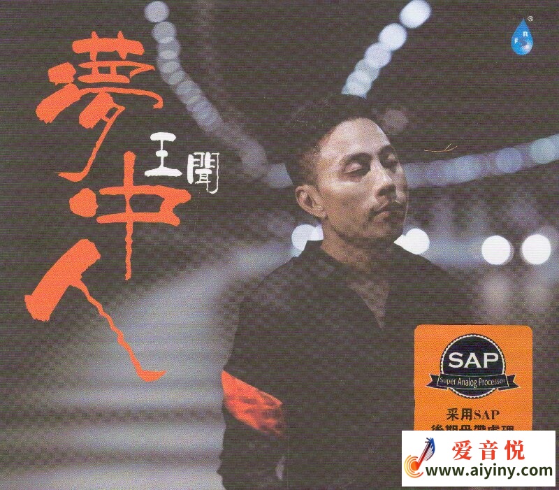 王闻 梦中人SAP-COVER.jpg