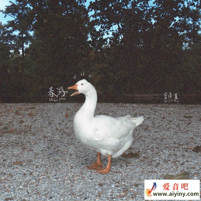 春游.jpg