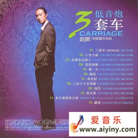 赵鹏 三套车-BACK.jpg