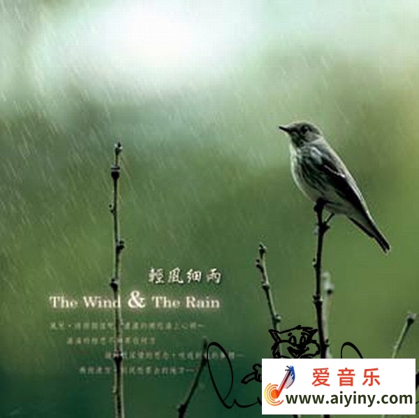 轻风细雨.jpg