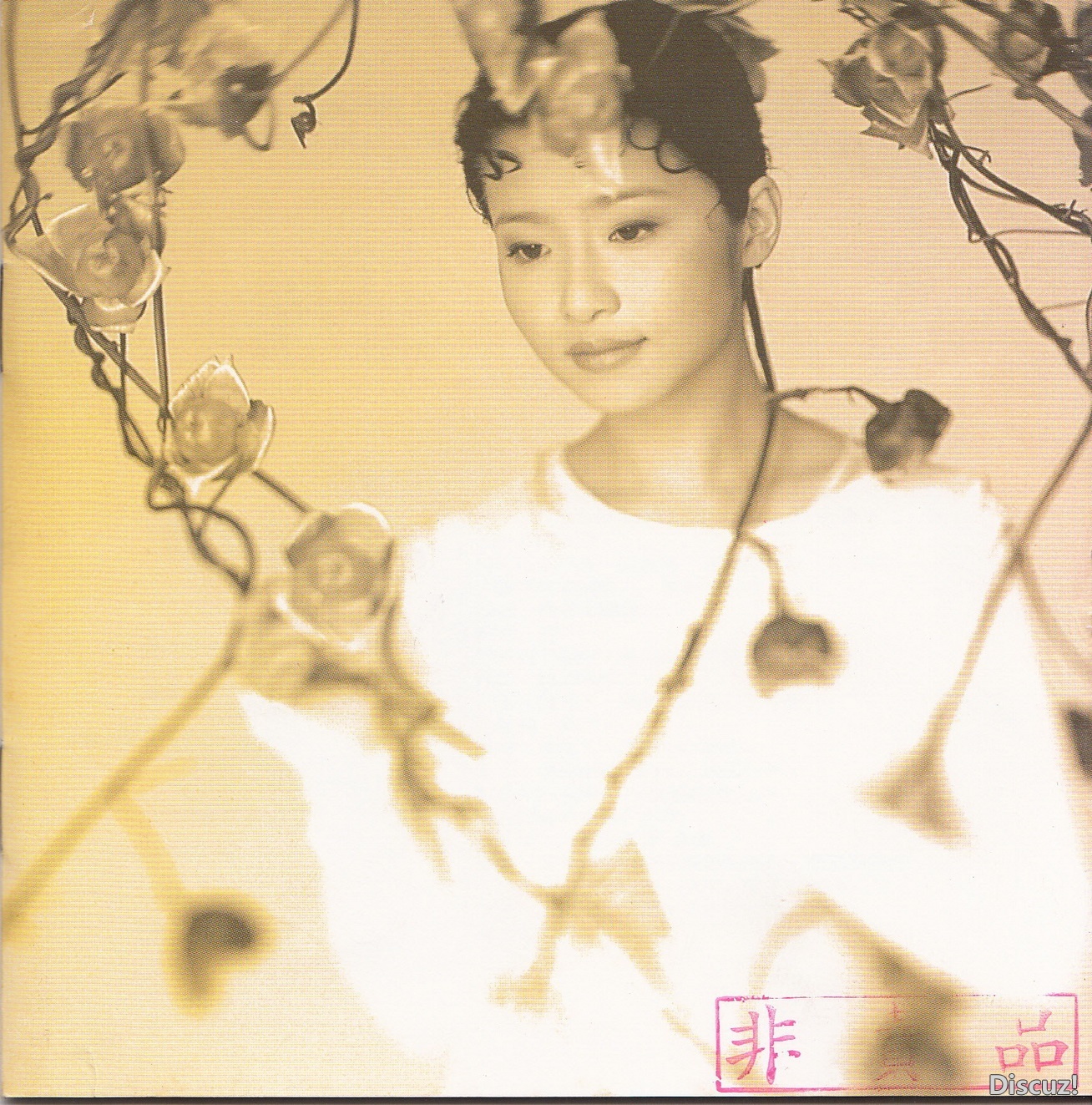 黄雅珉.1994 - 谁能让我再掉眼泪【EMI百代】【WAV+CUE】